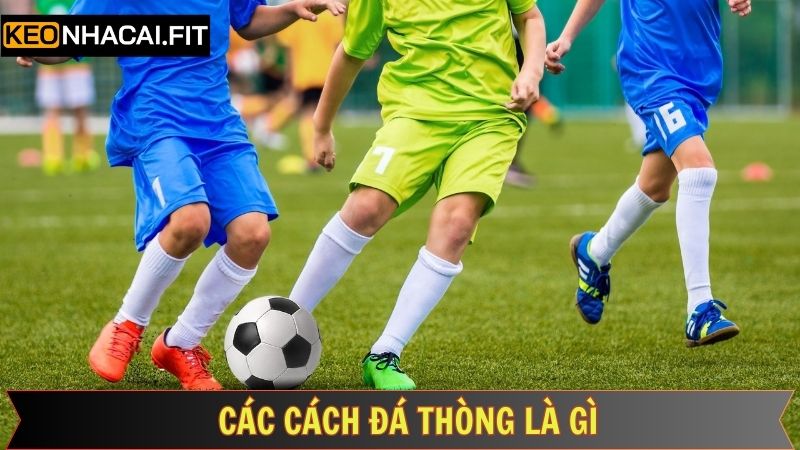 Những cách đá thòng thường thấy trong bóng đá 