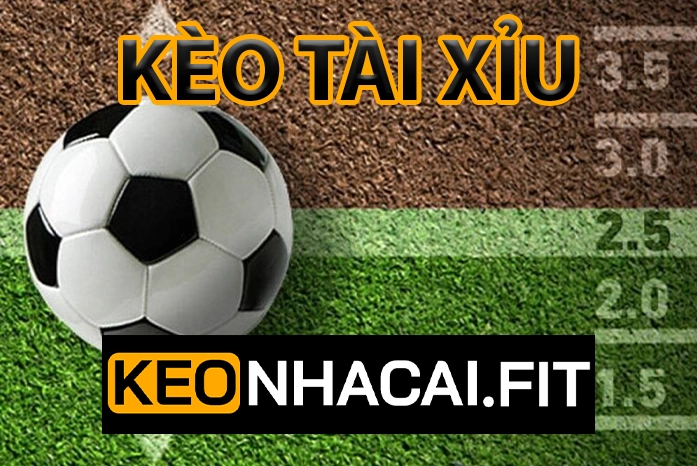 Kèo Tải Xỉu