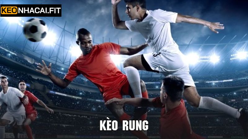 Những điều cần quan tâm khi đặt kèo rung