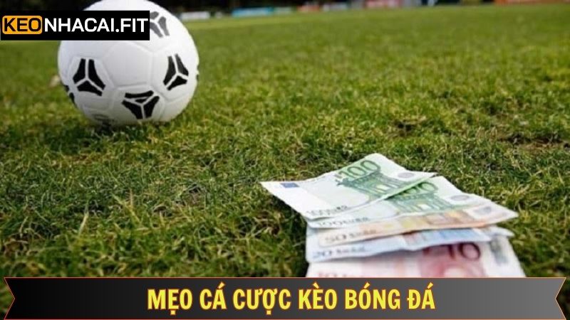 Kinh nghiệm đáng để tham khảo khi cược bóng đá 