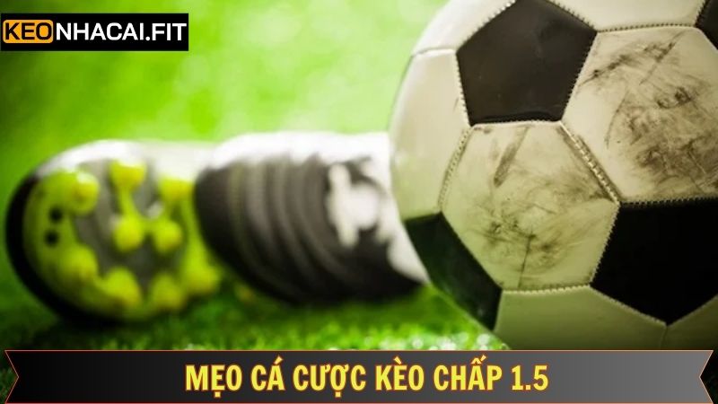 Chiến thuật soi kèo chuẩn xác để luôn giành lợi thế