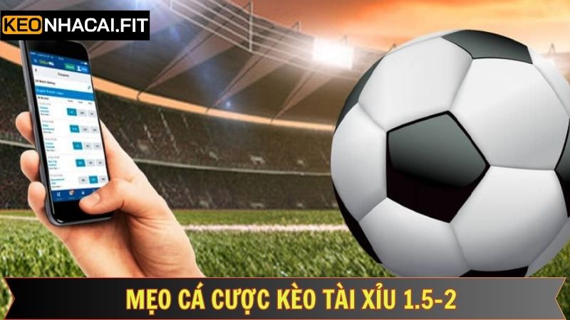 Bật mí chiến thuật vàng tối ưu hóa cơ hội thắng