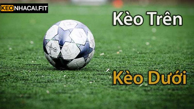 Các chiến lược để tham gia đem về nhiều khoản lợi nhuận cao