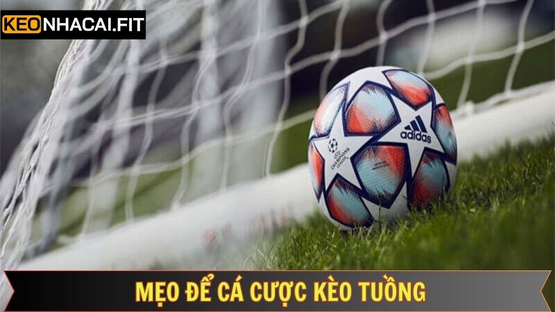 Những mẹo nên áp dụng khi tham gia cược tuồng 
