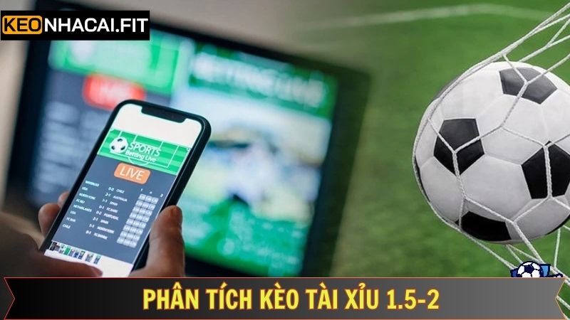Phân tích các trường hợp có thể xảy ra khi bet kèo