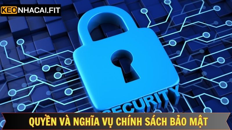 Quyền lợi và trách nhiệm của người dùng trong chính sách bảo mật