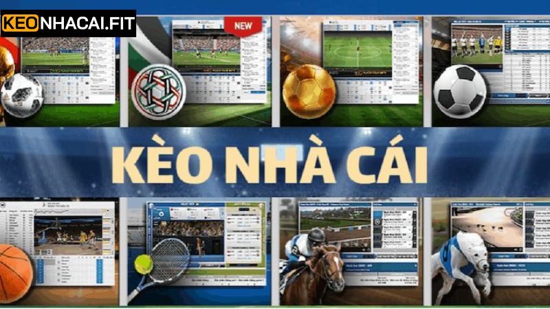 Những dịch vụ nổi bật trên hệ thống Kèo Nhà Cái