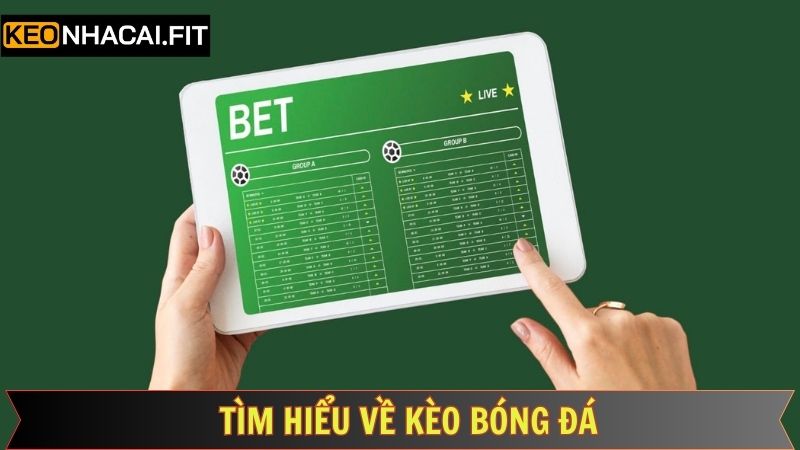 Thông tin cần nắm về hình thức kèo cược bóng đá 
