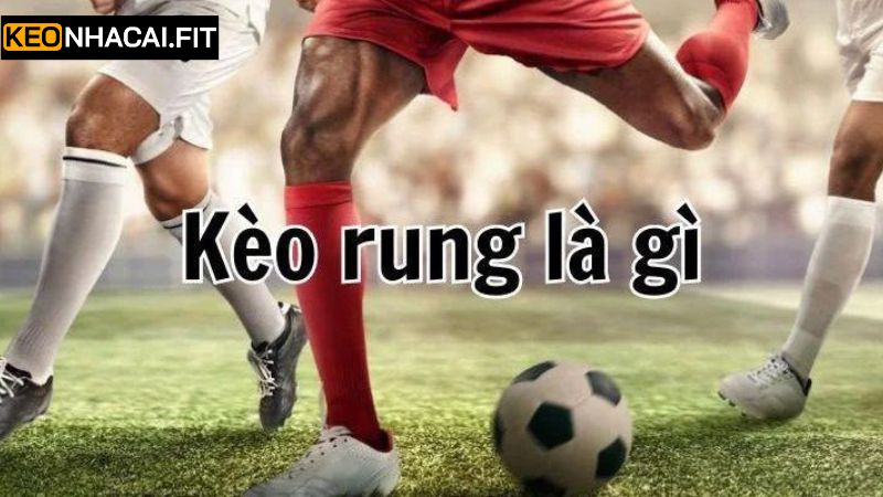 Tổng quát thông tin về hình thức rung kết quả