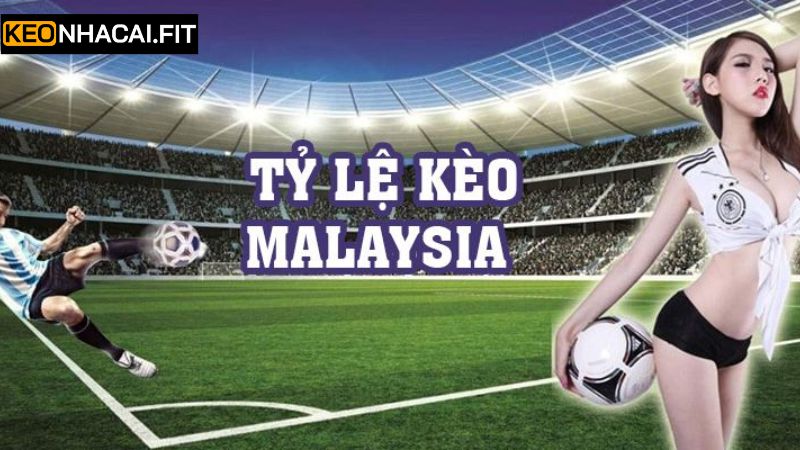 Các lợi ích nổi trội khi tham gia kèo Malaysia tại Kèo Nhà Cái