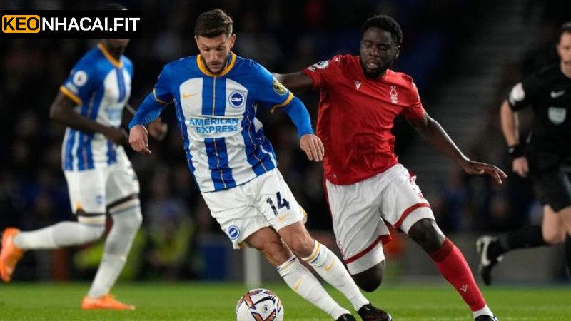 Phân tích Soi kèo Brighton Hove Albion vs Nottingham Forest
