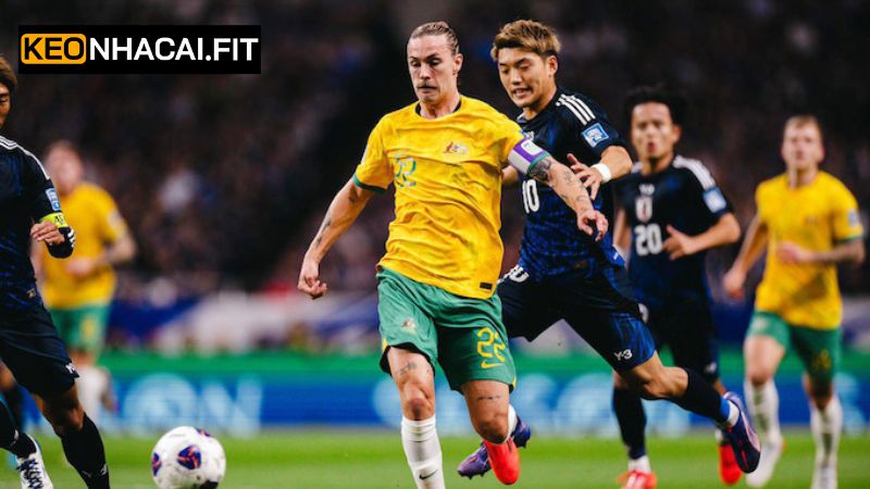 Đánh giá tỷ lệ cược trận đấu Australia vs Nhật Bản