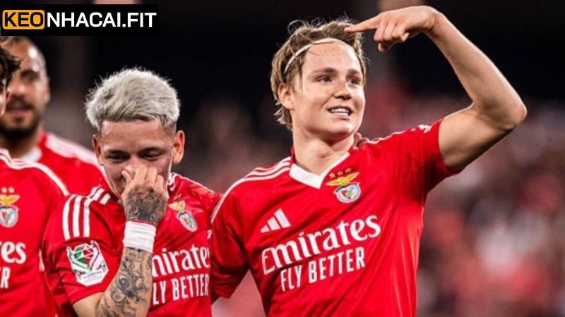 Phong độ hiện tại của đội tuyển Benfica
