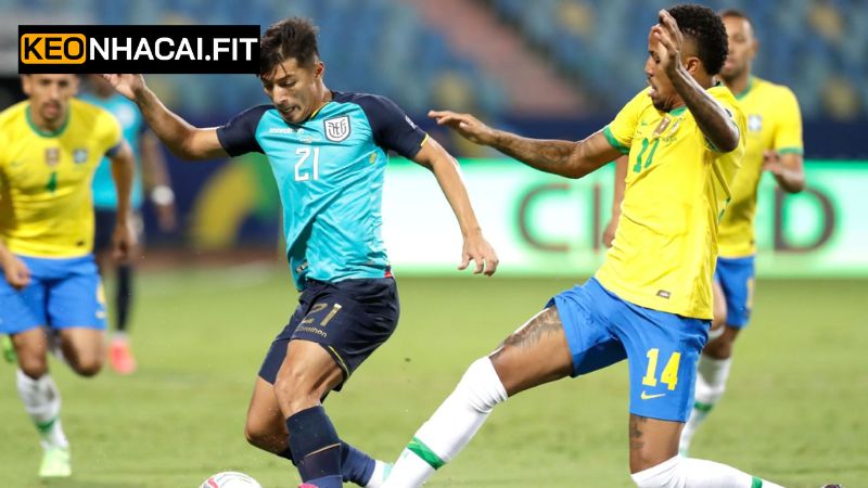 Dự đoán cược châu Âu của cuộc chiến Ecuador vs Brazil